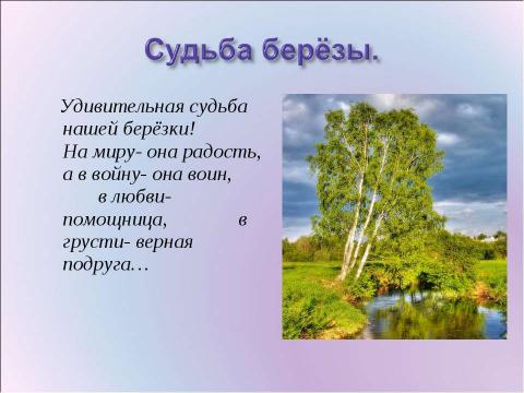 Презентация на тему "Берёза в судьбе русского человека" по начальной школе