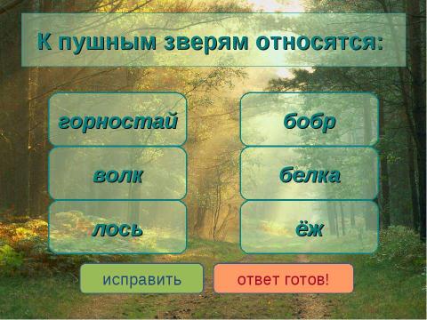 Презентация на тему "Животные лесной зоны России" по окружающему миру