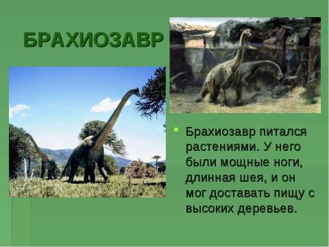 Презентация на тему "Когда жили динозавры? 1 класс" по окружающему миру