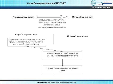 Презентация на тему "Организация маркетинга в вузе" по обществознанию