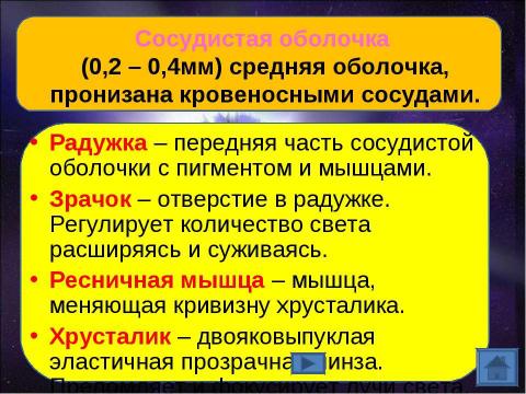 Презентация на тему "Орган зрения. Зрительный анализатор" по биологии