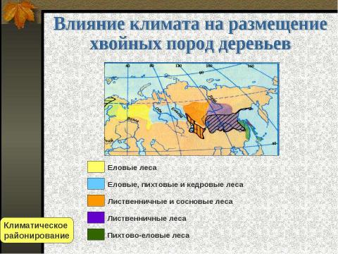 Презентация на тему "Значение климатических диаграмм в изучении типов климатов" по географии