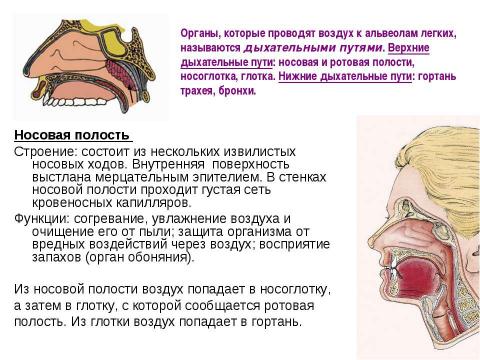 Презентация на тему "вода" по физике