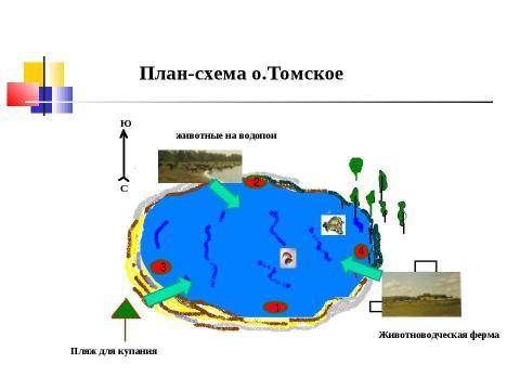 Презентация на тему "ГАММАРУС - ЭНДЕМИК О.ТОМСКОЕ БАЕВСКОГО РАЙОНА" по биологии