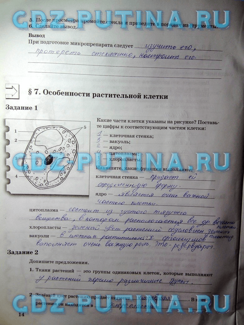 ГДЗ (решебник) по биологии для 6 класса Пономарева