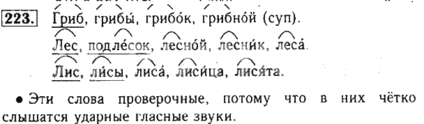 ГДЗ (решебник) по русскому языку для 2 класса Бунеев, Бунеева, Пронина