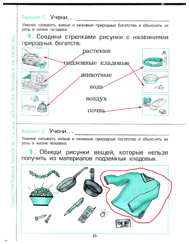 ГДЗ (решебник) по природоведению для 1 класса Раутиан А.С. Бурский О.В. Вахрушев А.А.