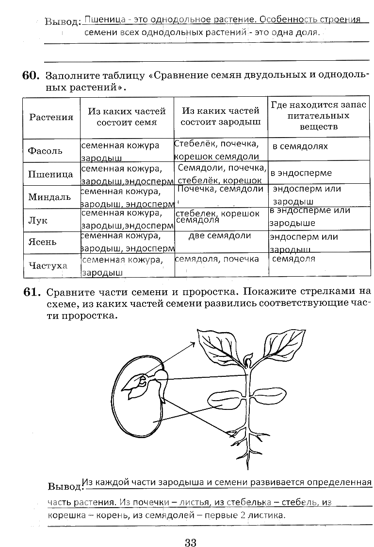 ГДЗ (решебник) по биологии для 6 класса Пасечник