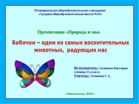 Презентация на тему "Бабочки (11 класс)" по биологии