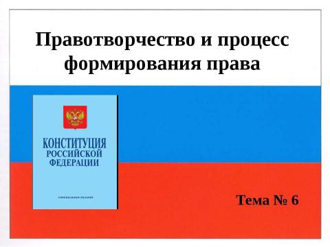 Презентация на тему "Правотворчество и процесс формирования права" по обществознанию