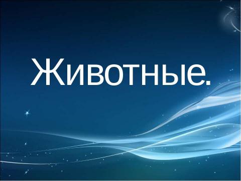 Презентация на тему "Арктика и Антарктида" по начальной школе