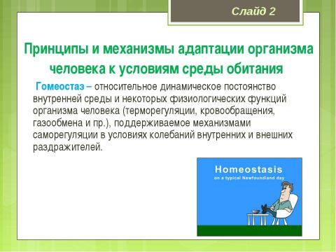 Презентация на тему "Медико-биологические основы безопасности жизнедеятельности" по ОБЖ