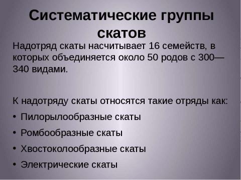 Презентация на тему "Надотряд Скаты" по биологии