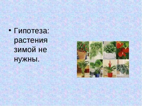 Презентация на тему "Нужны ли комнатные растения зимой" по биологии