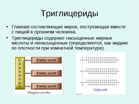 Презентация на тему "Жиры - Липиды" по химии