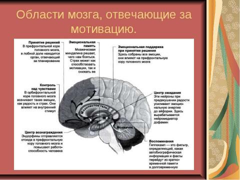 Презентация на тему "Мотивация ученика - основное условие успешного обучения" по обществознанию