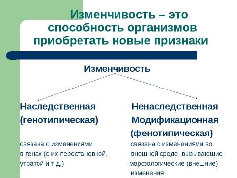 Презентация на тему "Основы генетики" по биологии