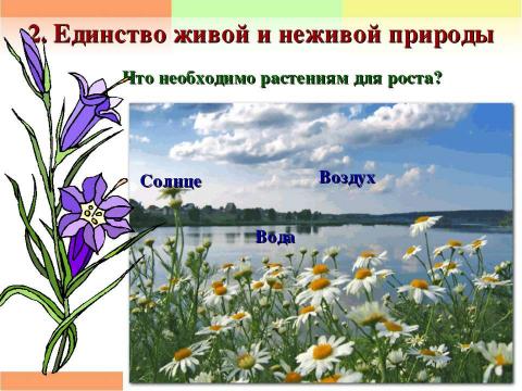 Презентация на тему "Единство живой и неживой природы 2 класс" по окружающему миру