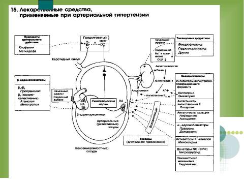 Презентация на тему "АНТИГИПЕРТЕНЗИВНЫЕ СРЕДСТВА" по медицине