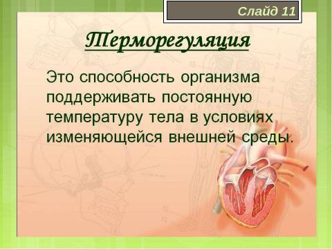 Презентация на тему "Медико-биологические основы безопасности жизнедеятельности" по ОБЖ