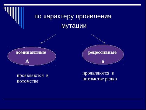 Презентация на тему "Мутация- источник формирования биологического разнообразия" по биологии