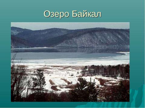 Презентация на тему "Экологические проблемы в биосфере" по экологии