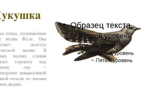 Презентация на тему "Образы славянской мифологии" по истории