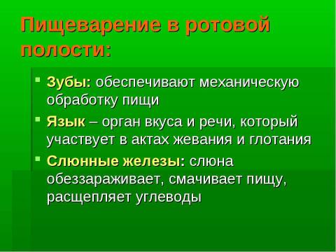 Презентация на тему "Пищеварительная система" по биологии