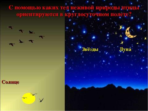 Презентация на тему "Единство живой и неживой природы 2 класс" по окружающему миру