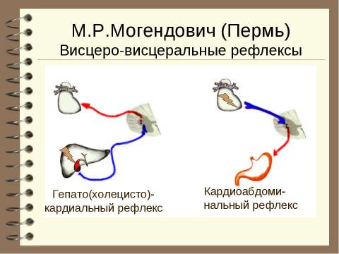 Презентация на тему "Патология вегетативной нервной системы" по медицине