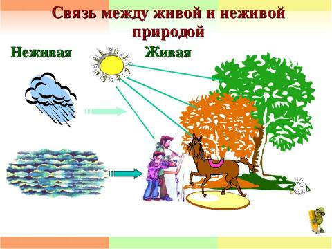 Презентация на тему "Единство живой и неживой природы 2 класс" по окружающему миру