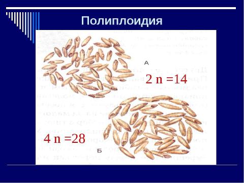 Презентация на тему "Мутация- источник формирования биологического разнообразия" по биологии