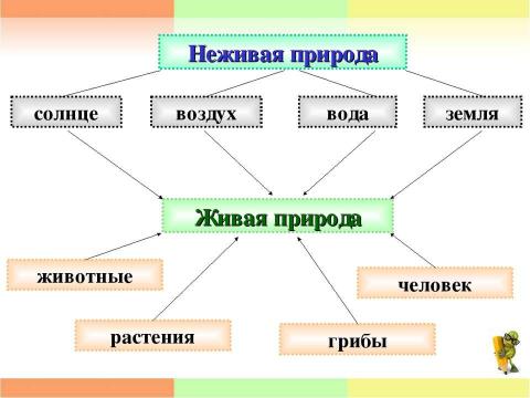 Презентация на тему "Единство живой и неживой природы 2 класс" по окружающему миру