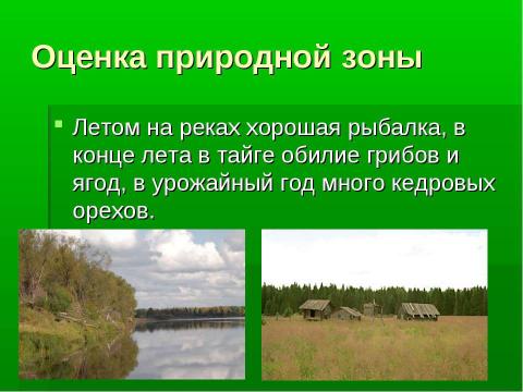 Презентация на тему "Таёжная область Северного Урала" по географии