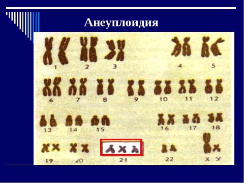 Презентация на тему "Мутация- источник формирования биологического разнообразия" по биологии