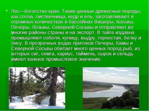 Презентация на тему "Таёжная область Северного Урала" по географии