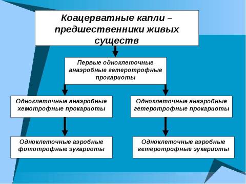 Презентация на тему "Начальные этапы развития жизни" по биологии