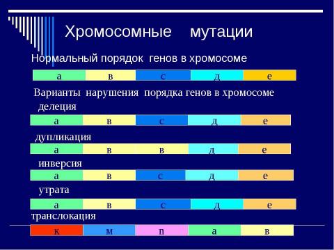 Презентация на тему "Мутация- источник формирования биологического разнообразия" по биологии