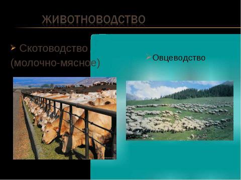 Презентация на тему "Армения 10 класс" по географии