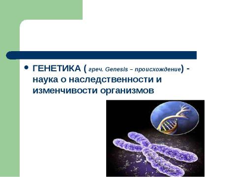 Презентация на тему "Основы генетики" по биологии