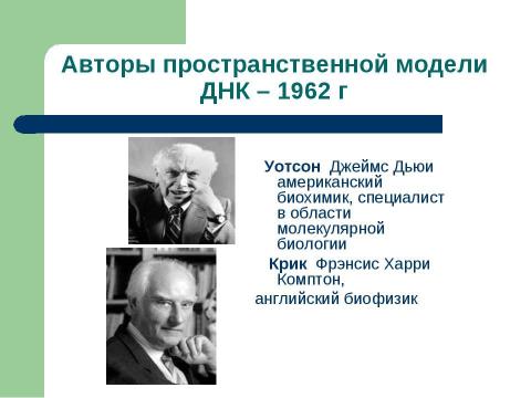 Презентация на тему "Основы генетики" по биологии