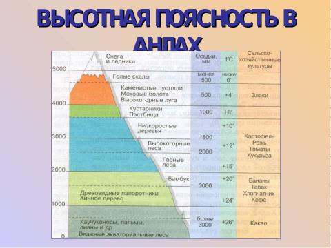 Презентация на тему "Природные зоны Южной Америки" по географии