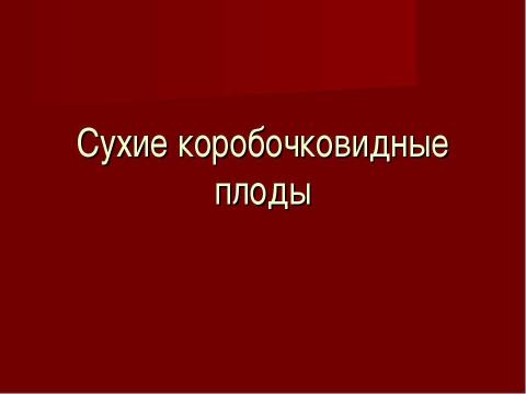 Презентация на тему "Плоды. Значение и разнообразие плодов." по биологии