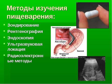 Презентация на тему "Пищеварительная система" по биологии