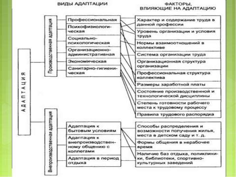 Презентация на тему "Медико-биологические основы безопасности жизнедеятельности" по ОБЖ