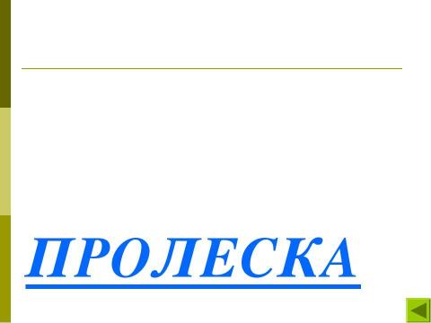 Презентация на тему "Мастерская весны" по окружающему миру