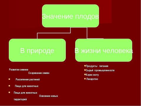 Презентация на тему "Плоды. Значение и разнообразие плодов." по биологии