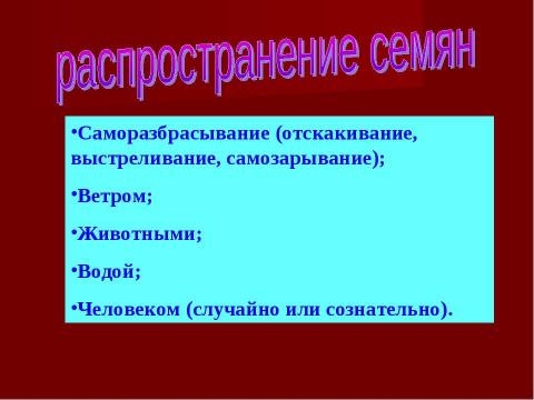 Презентация на тему "Плоды. Значение и разнообразие плодов." по биологии