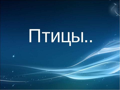 Презентация на тему "Арктика и Антарктида" по начальной школе