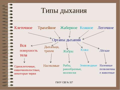 Презентация на тему "Особенности дыхания у животных" по биологии